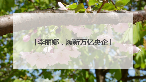 李丽娜，履新万亿央企