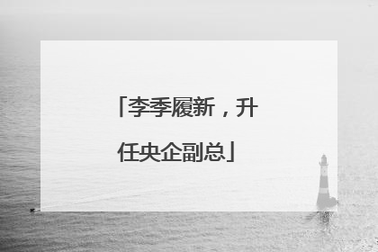 李季履新，升任央企副总