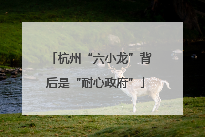 杭州“六小龙”背后是“耐心政府”
