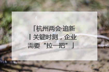 杭州两会·追新丨关键时刻，企业需要“拉一把”