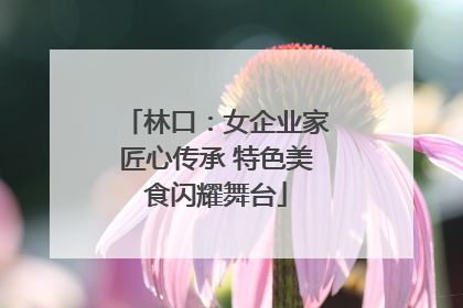 林口：女企业家匠心传承 特色美食闪耀舞台