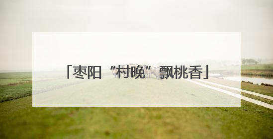 枣阳“村晚”飘桃香