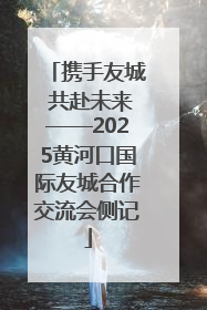 携手友城 共赴未来——2025黄河口国际友城合作交流会侧记