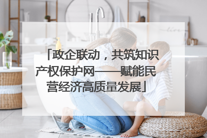 政企联动，共筑知识产权保护网——赋能民营经济高质量发展