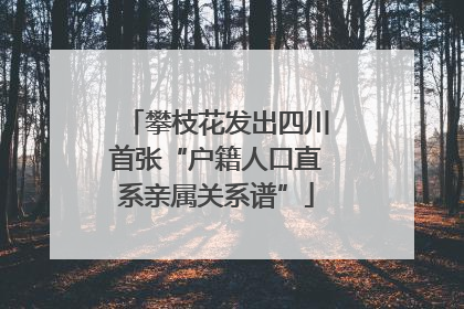 攀枝花发出四川首张“户籍人口直系亲属关系谱”