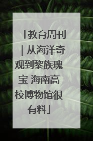教育周刊｜从海洋奇观到黎族瑰宝 海南高校博物馆很有料