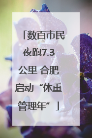 数百市民夜跑7.3公里 合肥启动“体重管理年”
