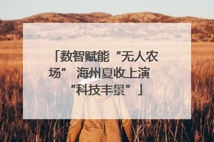 数智赋能“无人农场” 海州夏收上演“科技丰景”
