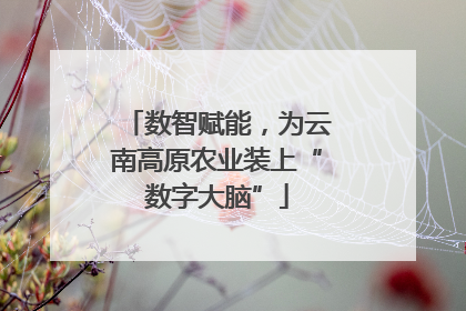 数智赋能，为云南高原农业装上“数字大脑”
