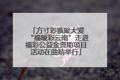方寸彩票聚大爱 “福暖彩云南”走进福彩公益金资助项目活动在曲靖举行