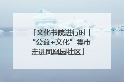 文化书院进行时丨“公益+文化”集市走进凤凰园社区