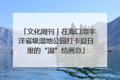 文化周刊丨在海口潭丰洋省级湿地公园打卡夏日里的“湿”情画意