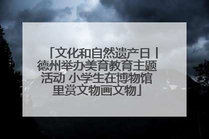 文化和自然遗产日丨德州举办美育教育主题活动 小学生在博物馆里赏文物画文物