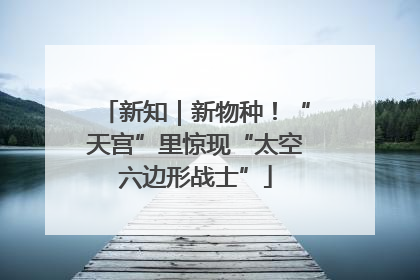 新知｜新物种！“天宫”里惊现“太空六边形战士”
