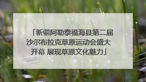 新疆阿勒泰福海县第二届沙尔布拉克草原运动会盛大开幕 展现草原文化魅力