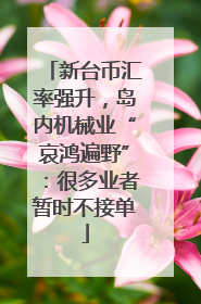 新台币汇率强升，岛内机械业“哀鸿遍野”：很多业者暂时不接单