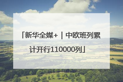 新华全媒+｜中欧班列累计开行110000列