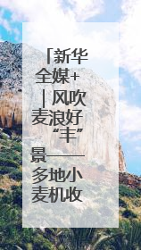 新华全媒+｜风吹麦浪好“丰”景——多地小麦机收一线见闻