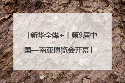 新华全媒+丨第9届中国—南亚博览会开幕