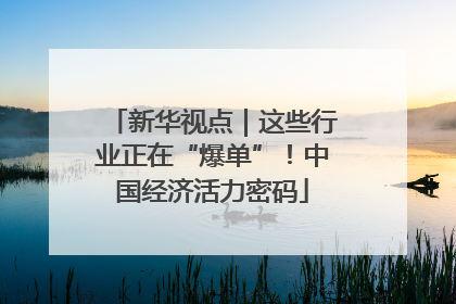 新华视点｜这些行业正在“爆单”！中国经济活力密码