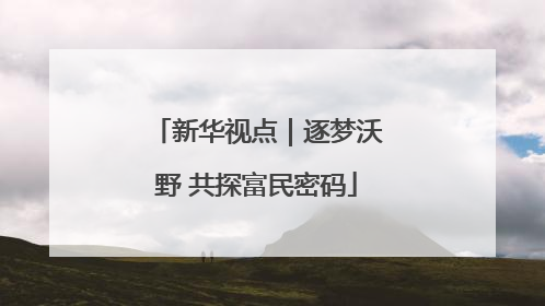 新华视点｜逐梦沃野 共探富民密码