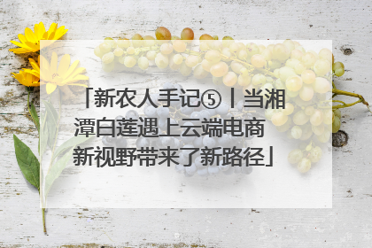 新农人手记⑤丨当湘潭白莲遇上云端电商 新视野带来了新路径