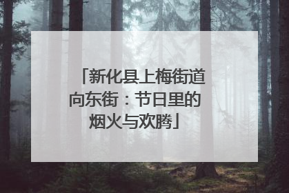 新化县上梅街道向东街：节日里的烟火与欢腾