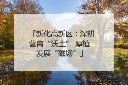 新化高新区：深耕营商“沃土” 厚植发展“磁场”