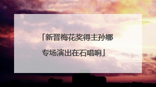 新晋梅花奖得主孙娜专场演出在石唱响