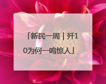 新民一周｜歼10为何一鸣惊人