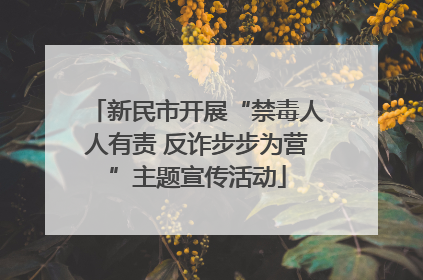 新民市开展“禁毒人人有责 反诈步步为营”主题宣传活动
