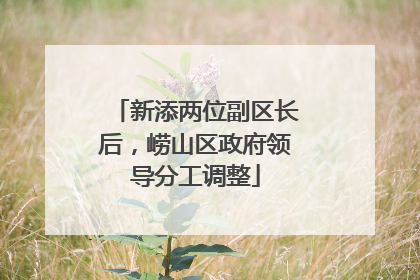 新添两位副区长后，崂山区政府领导分工调整