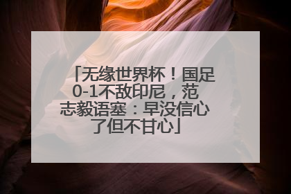 无缘世界杯！国足0-1不敌印尼，范志毅语塞：早没信心了但不甘心