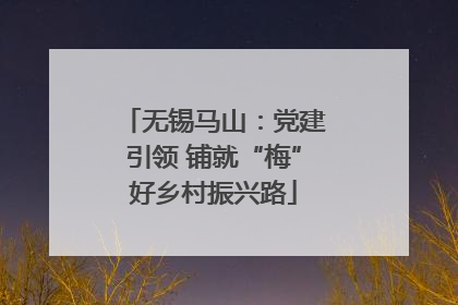 无锡马山：党建引领 铺就“梅”好乡村振兴路