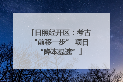 日照经开区：考古“前移一步” 项目“降本提速”