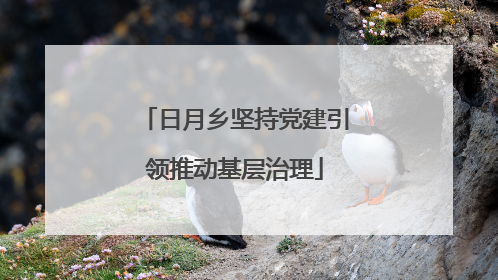 日月乡坚持党建引领推动基层治理