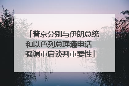 普京分别与伊朗总统和以色列总理通电话 强调重启谈判重要性