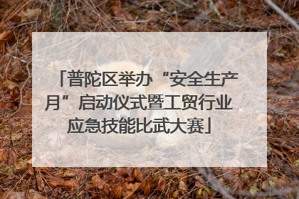 普陀区举办“安全生产月”启动仪式暨工贸行业应急技能比武大赛