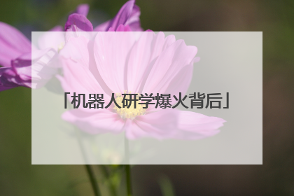 机器人研学爆火背后