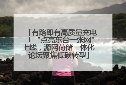 有路即有高质量充电！“点亮东台一张网”上线，源网荷储一体化论坛聚焦低碳转型