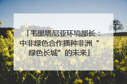 毛里塔尼亚环境部长：中非绿色合作播种非洲“绿色长城”的未来
