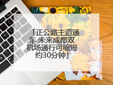 正公路主道通车 未来成都双机场通行可缩短约30分钟