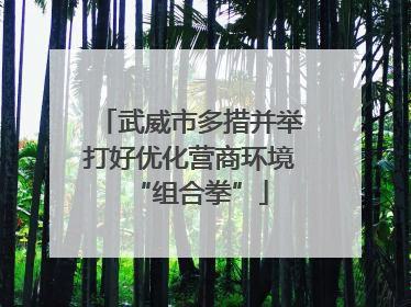 武威市多措并举打好优化营商环境“组合拳”