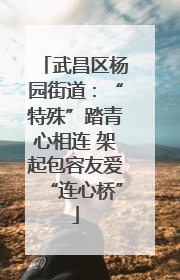 武昌区杨园街道：“特殊”踏青心相连 架起包容友爱“连心桥”