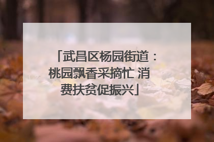 武昌区杨园街道：桃园飘香采摘忙 消费扶贫促振兴