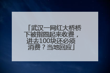 武汉一网红大桥桥下被指圈起来收费，进去100块还必须消费？当地回应