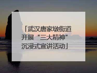 武汉唐家墩街道开展“三大精神”沉浸式宣讲活动