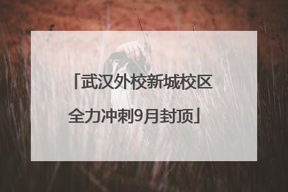 武汉外校新城校区全力冲刺9月封顶