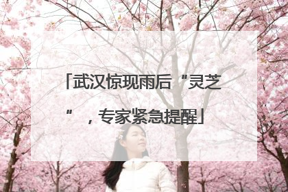 武汉惊现雨后“灵芝”，专家紧急提醒