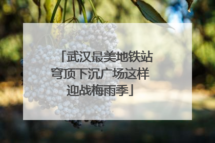 武汉最美地铁站穹顶下沉广场这样迎战梅雨季
